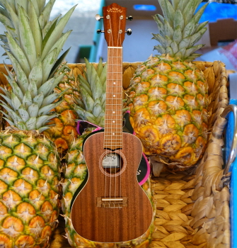 lanika-auf-ananas